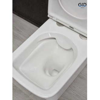 Унитаз GID Tn2125