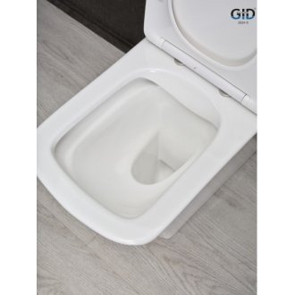 Унитаз GID Tn2184