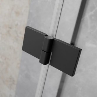 Душевая дверь Radaway Essenza 8 Black DWJ 100 см левосторонняя