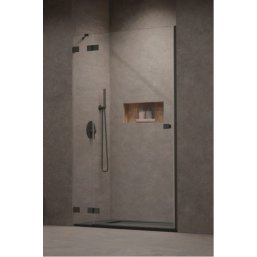 Душевая дверь Radaway Essenza Pro Brushed GunMetal DWJ 100 см