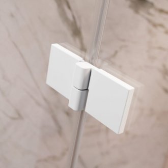 Душевая дверь Radaway Essenza Pro White DWJ 100 см