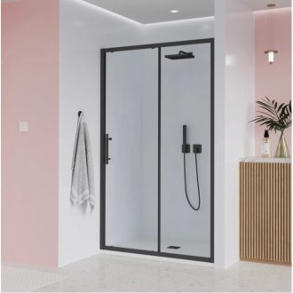 Душевая дверь Veconi Evo 100 B 110 см прозрачная