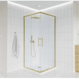 Душевой уголок Veconi Evo 300 G 110x80
