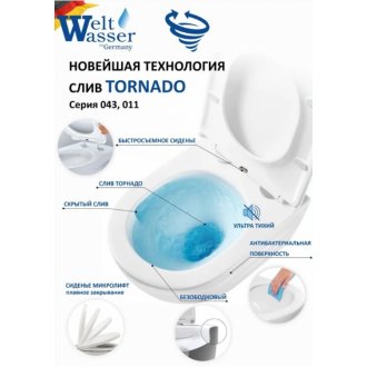 Унитаз напольный WeltWasser WW Salzbach 011 MT-BL безободковый, с микролифтом, черный матовый